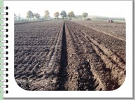 View Ploegen Borger 2008